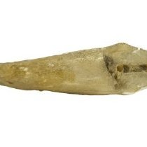 Omc 1960.719.007  (2) Edited